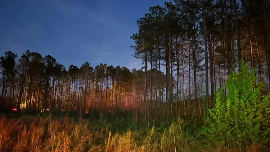 Burn barrel sparks two-to-three-acre brush fire in Prince George County, officials say