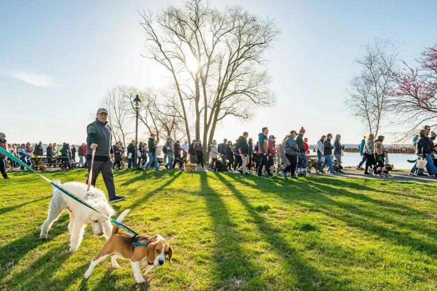 ALX Dog Walk Returns April 18 in Alexandria