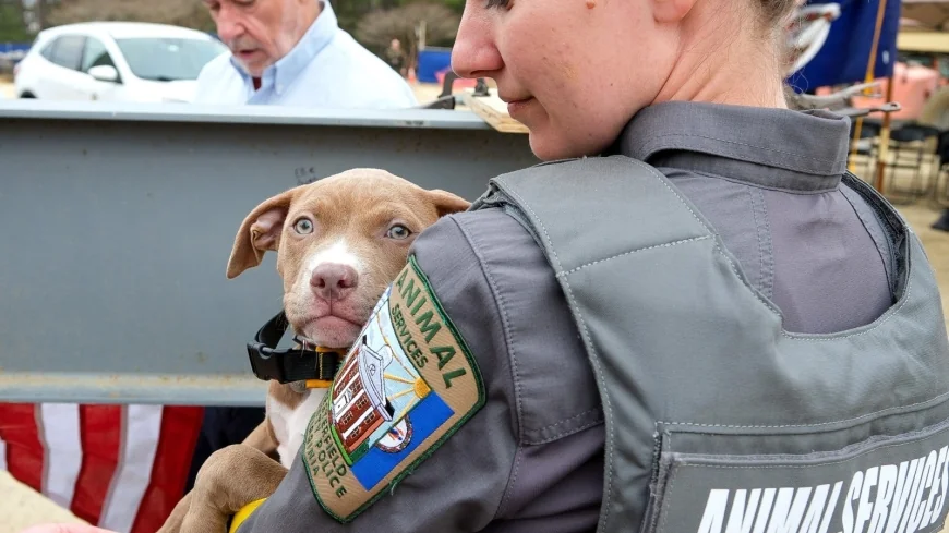 Chesterfield marks major milestone on new-and-improved animal shelter