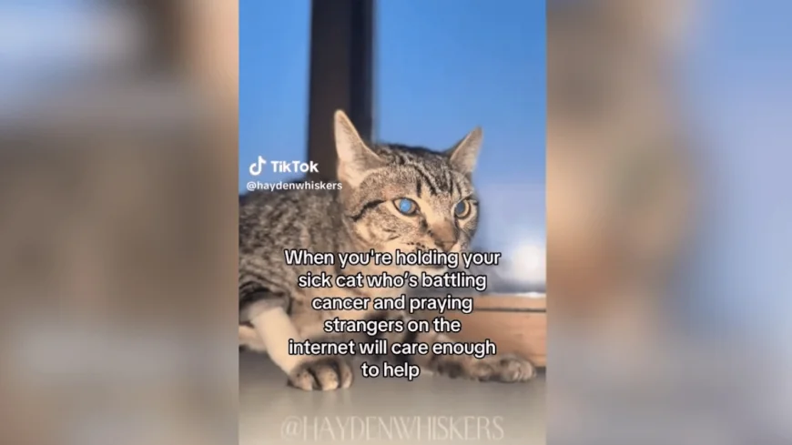 Accused animal abuser’s father arrested as alleged co-conspirator