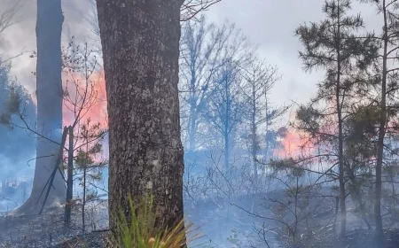 PHOTOS: Firefighters battle large brush fire for hours in Buckingham