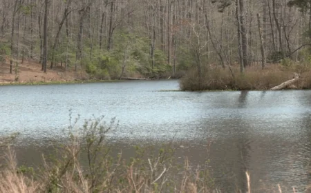 They’re ‘all just children, really’: Four accused in tragic murder of missing Hopewell 18-year-old