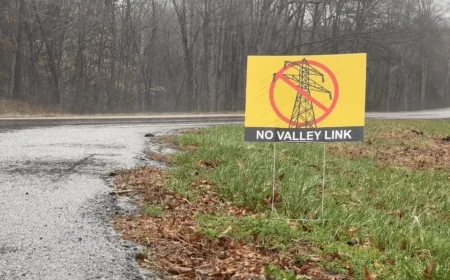 Local county leaders unite in opposition to high-voltage power line project