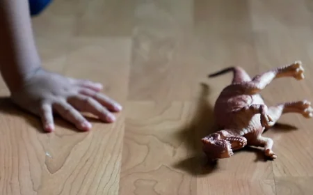 ‘Kids pick up on their parents emotionality’: Talking to children about the war in Iran