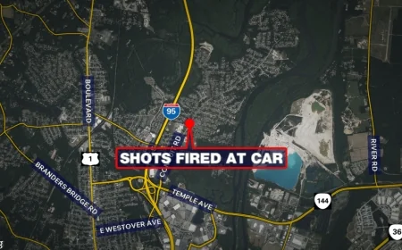 Man charged after shots fired at car, causing crash, power outage in Colonial Heights