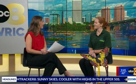 8News gets sneak peek at Henrico’s Kite Day 2026