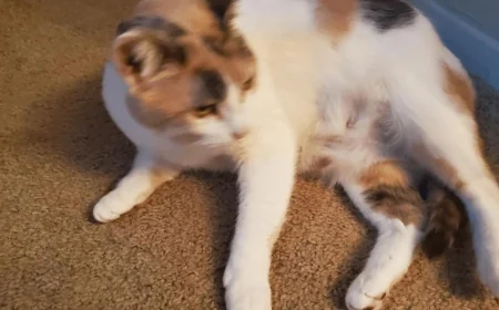 Share photos of your furry friends for National Pet Day