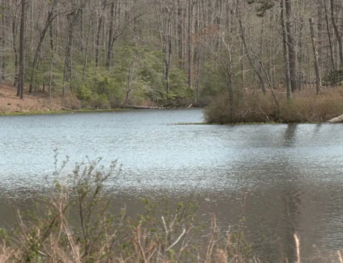 They’re ‘all just children, really’: Four accused in tragic murder of missing Hopewell 18-year-old