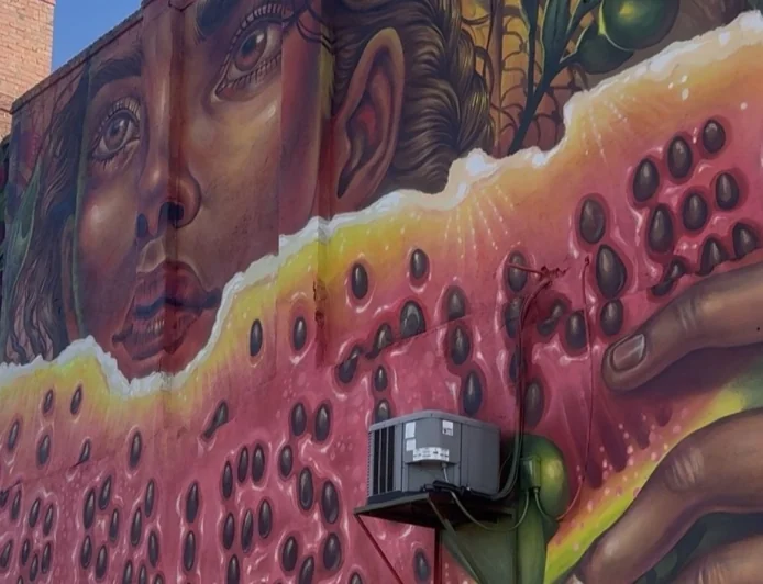 Debate over ‘Free Palestine’ mural in Richmond’s Northside leads to proposal for new design