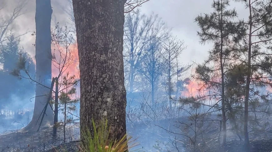 PHOTOS: Firefighters battle large brush fire for hours in Buckingham