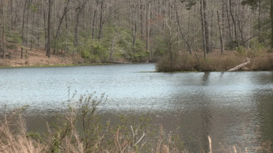 They’re ‘all just children, really’: Four accused in tragic murder of missing Hopewell 18-year-old