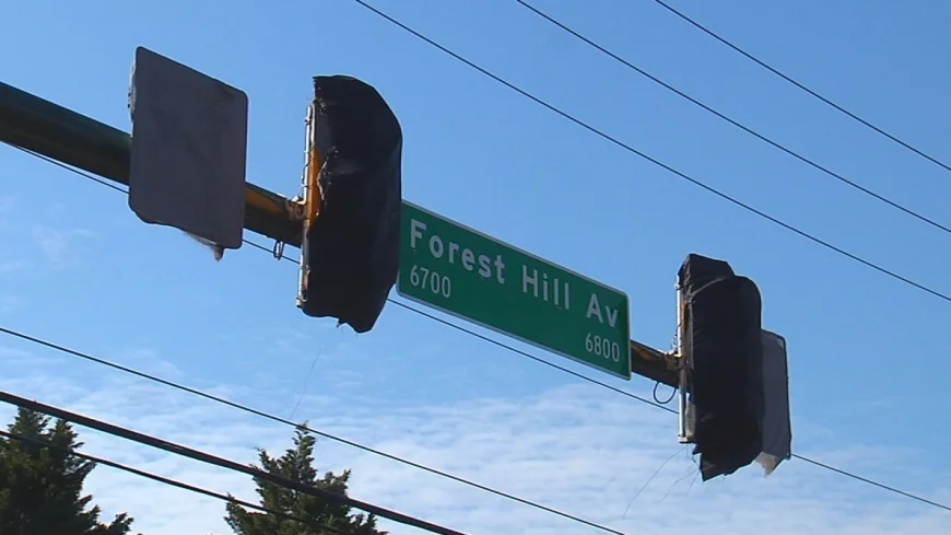 Political professor says ‘sustained attention’ will help Richmond’s ‘Vision Zero’ succeed