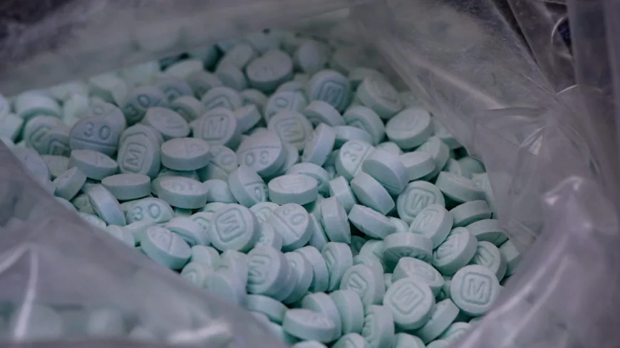 Virginia State Police seize nearly $81M in drugs after operation